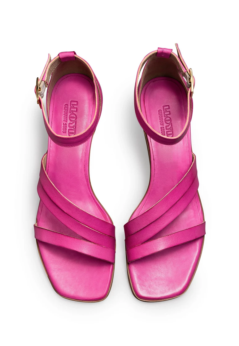 CORAL II | LLOYD