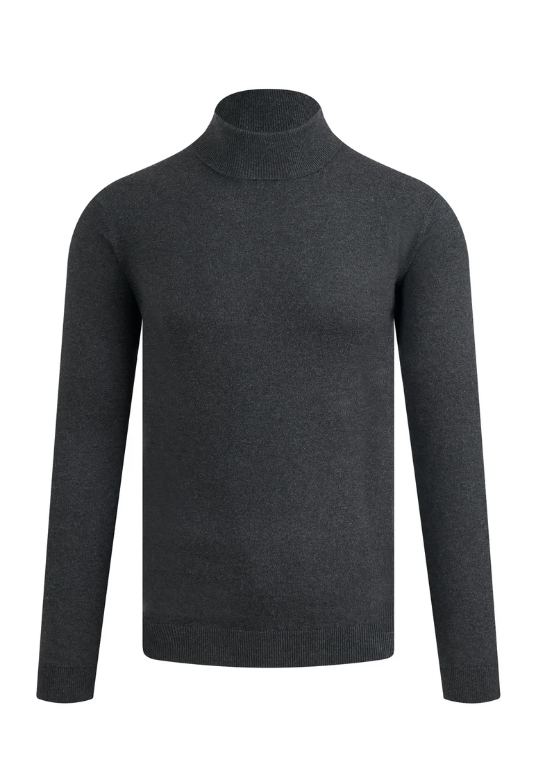 ROLLKRAGEN PULLOVER LLOYD